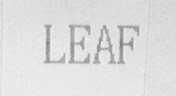 LEAF