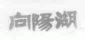向阳湖
