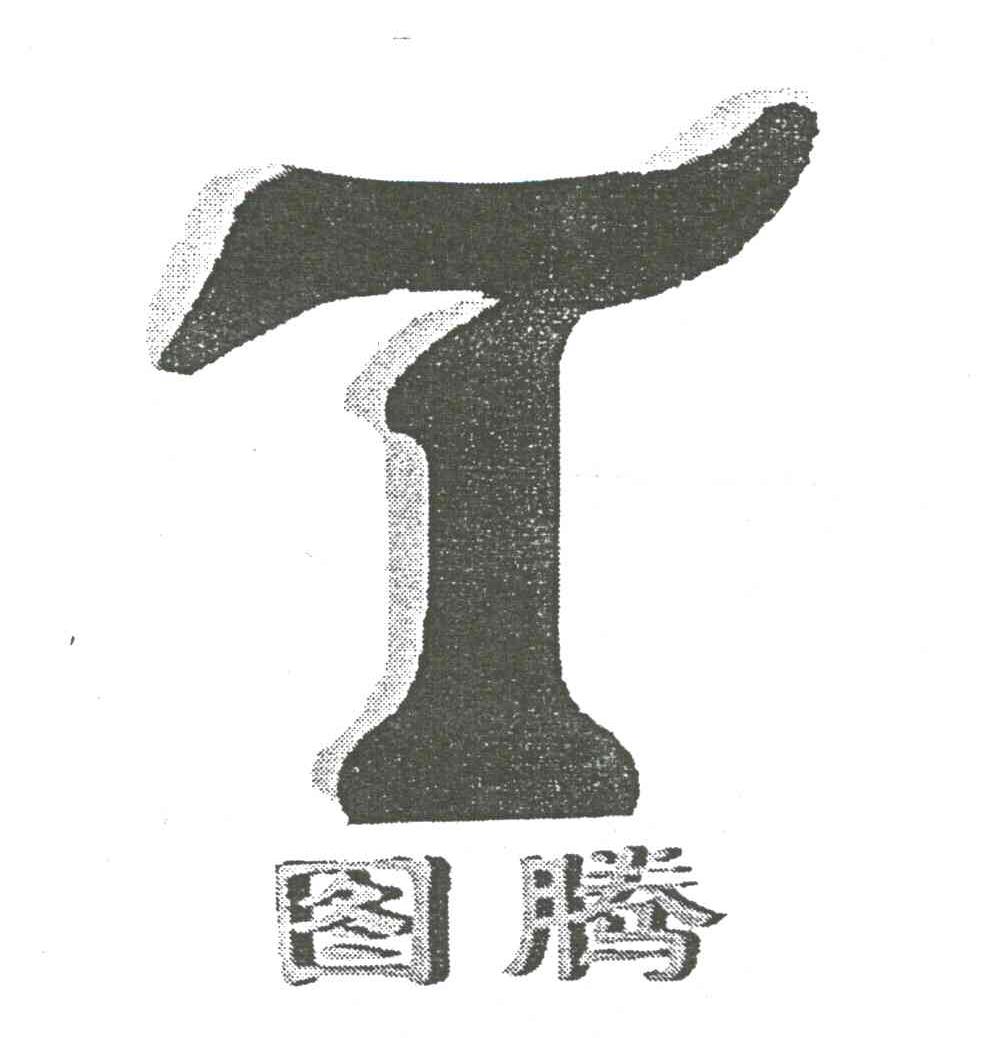 图腾;T