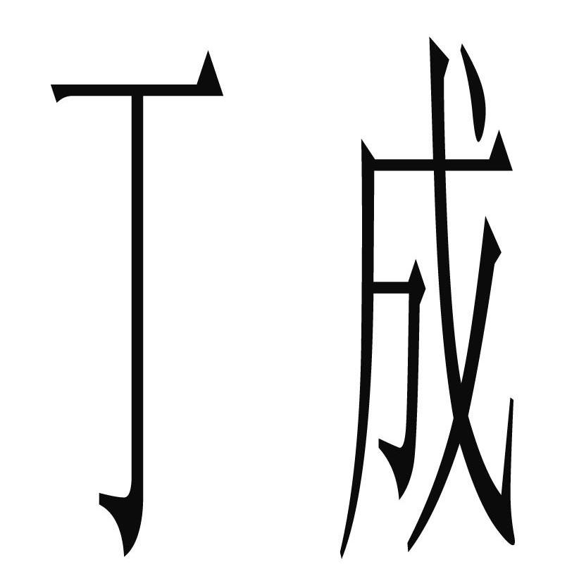 丁成