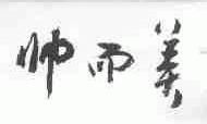 帅而美