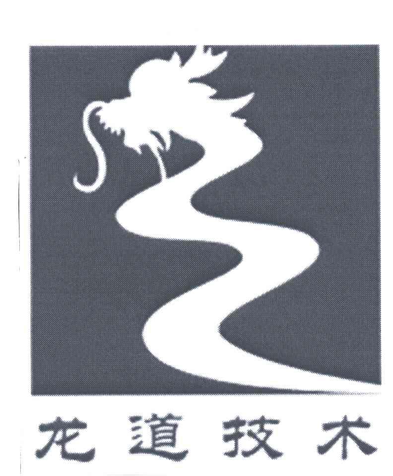 龙道技术