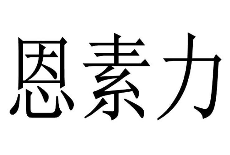 恩素力