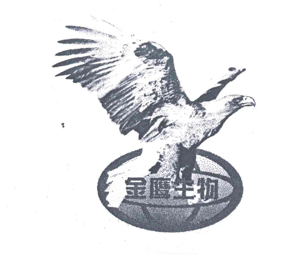 金鹰生物