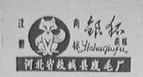 银狐
