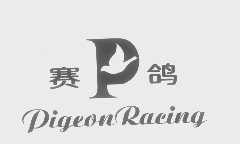 赛鸽   PIGEON RACING