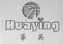 华英