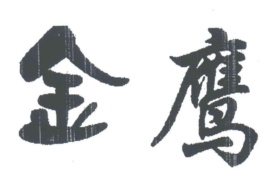 金鹰