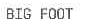BIG FOOT