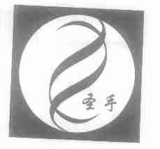 圣手