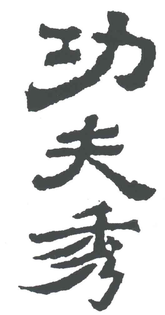 功夫秀