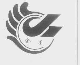 金手