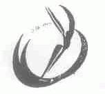 图形