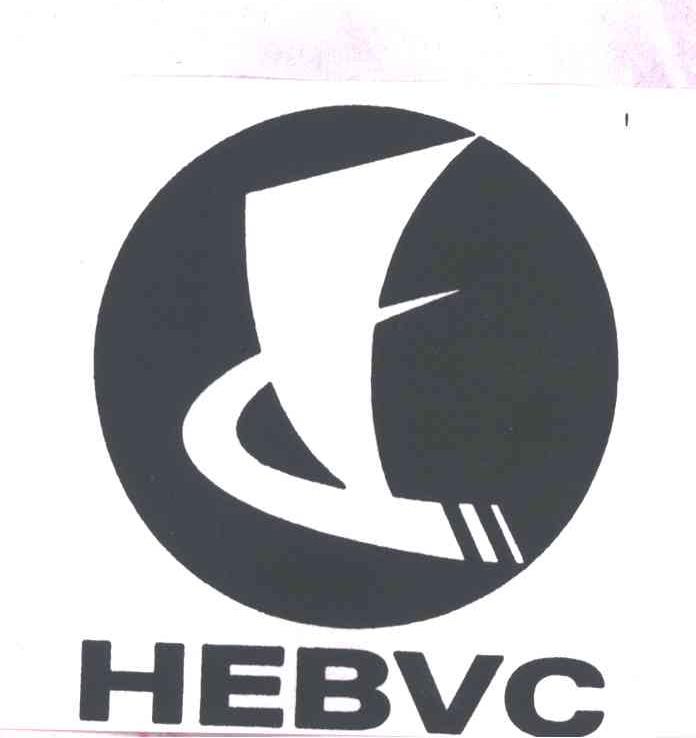 HEBVC