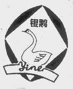 银鹅