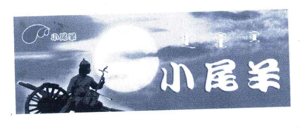 小尾羊