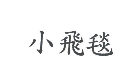 小飞毯