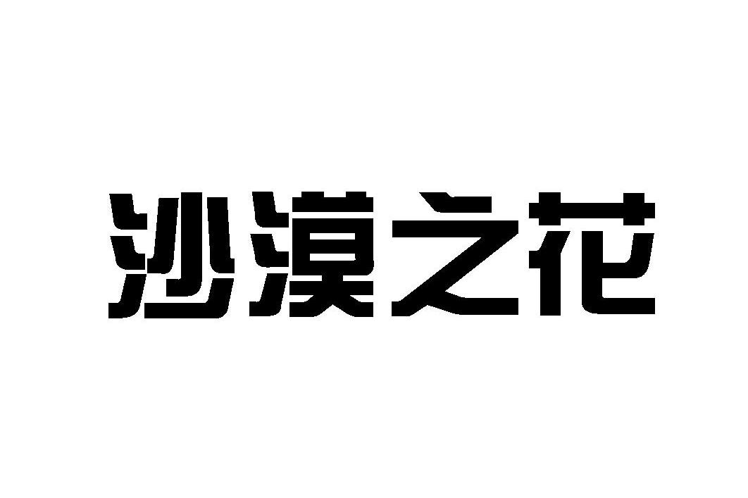 沙漠之花
