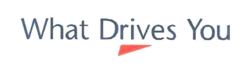 WHAT DRIVES YOU