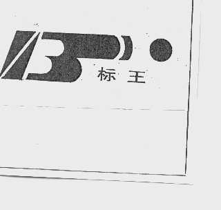标王