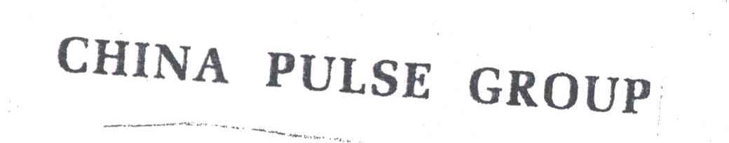 CHINA PULSE GROUP