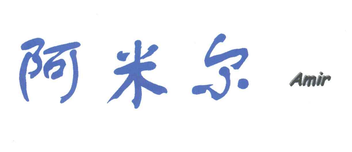 阿米尔;AMIR