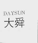 大舜  DAYSUN