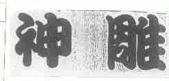 神雕