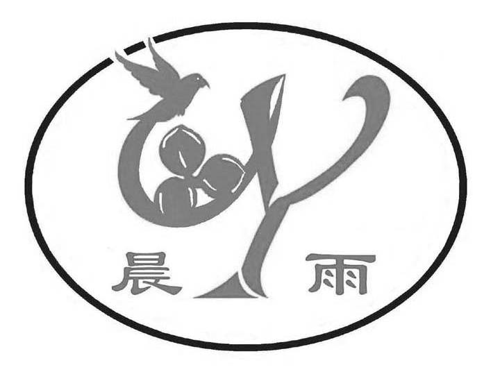晨雨 CY