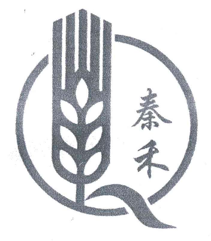 秦禾