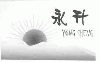 永升