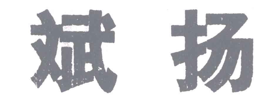 斌扬