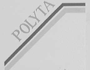 POLYTA