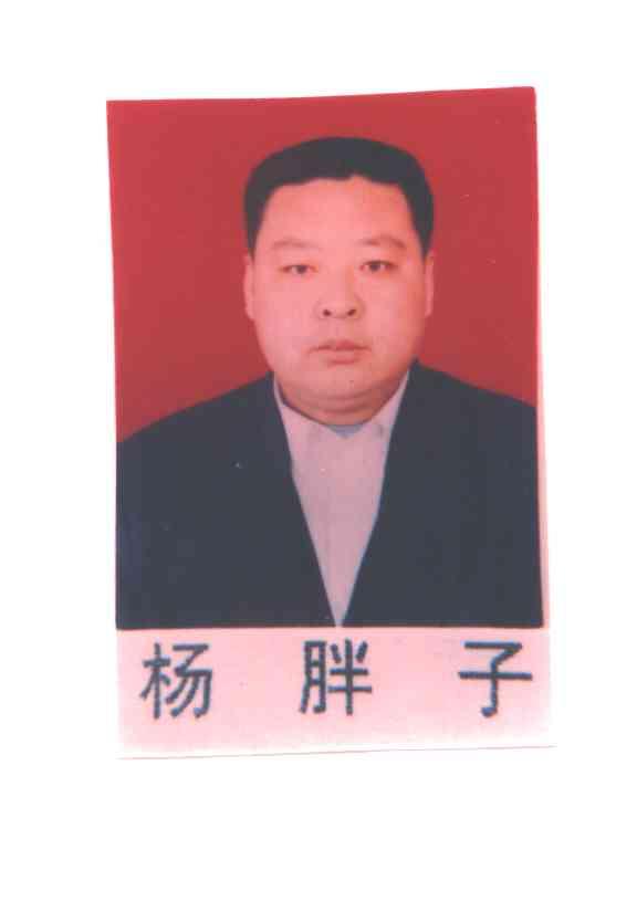 杨胖子