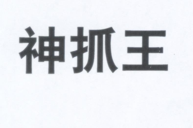 神抓王