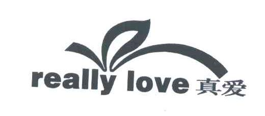真爱;REALLY LOVE