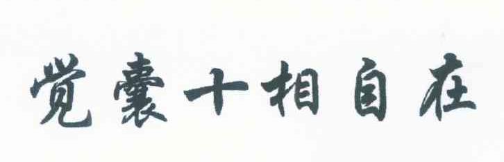 觉囊十相自在