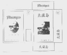 火烈鸟   FLAMINGAS