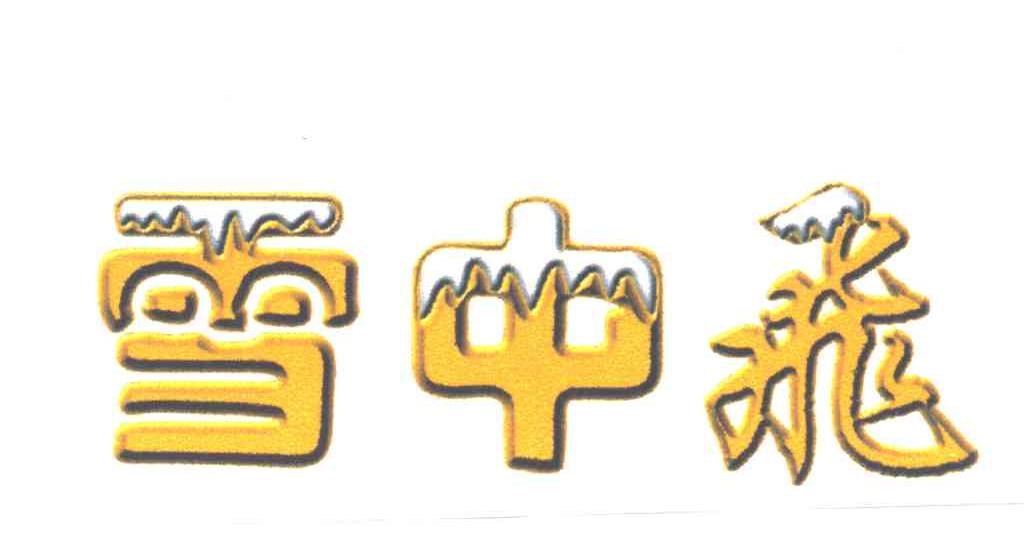 雪中飞