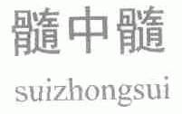 髓中髓
