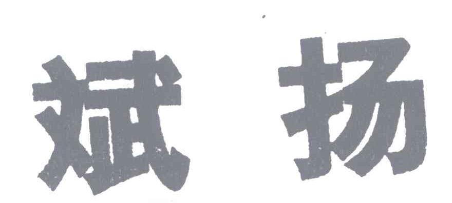 斌扬