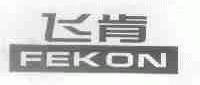 飞肯;FEKON