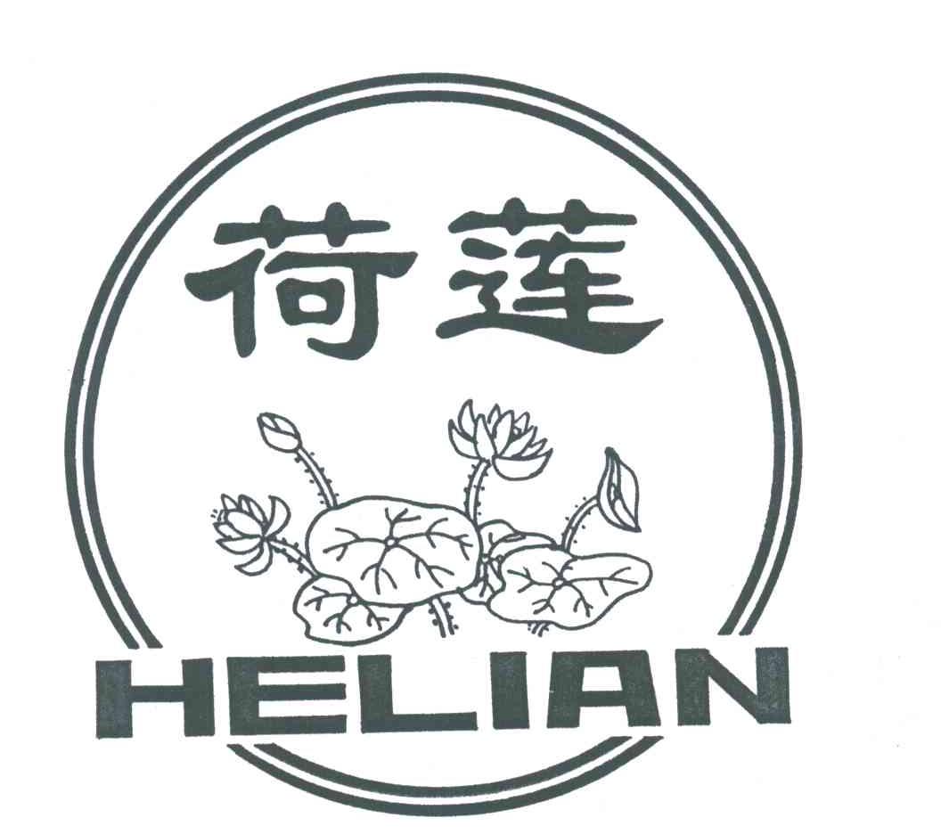 荷莲