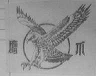 鹰爪