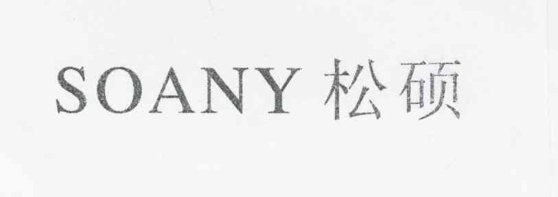 松硕 SOANY