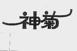神菊