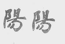 阳阳