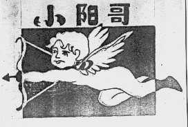 小阳哥