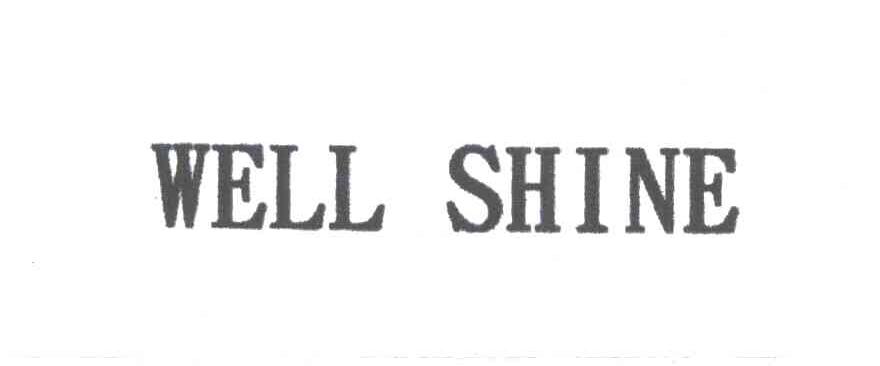 WELL SHINE