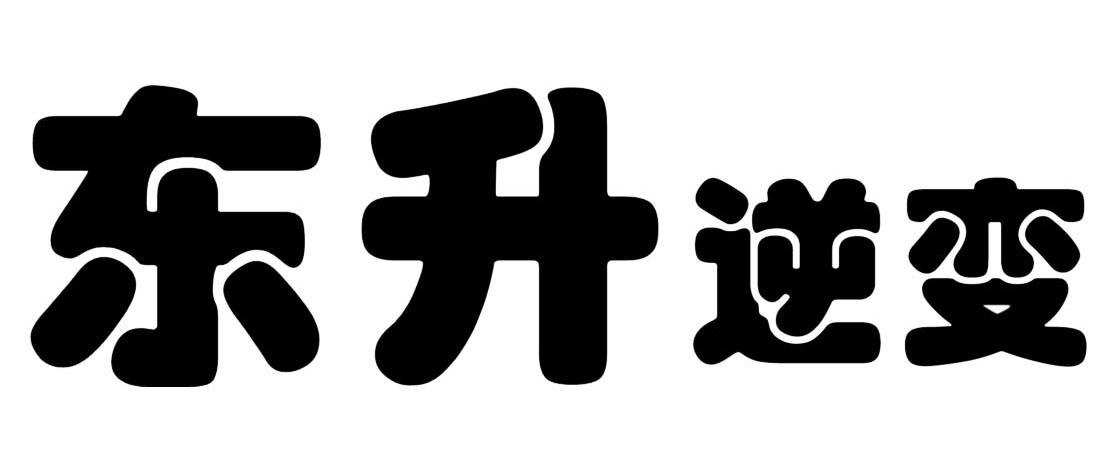 东升逆变